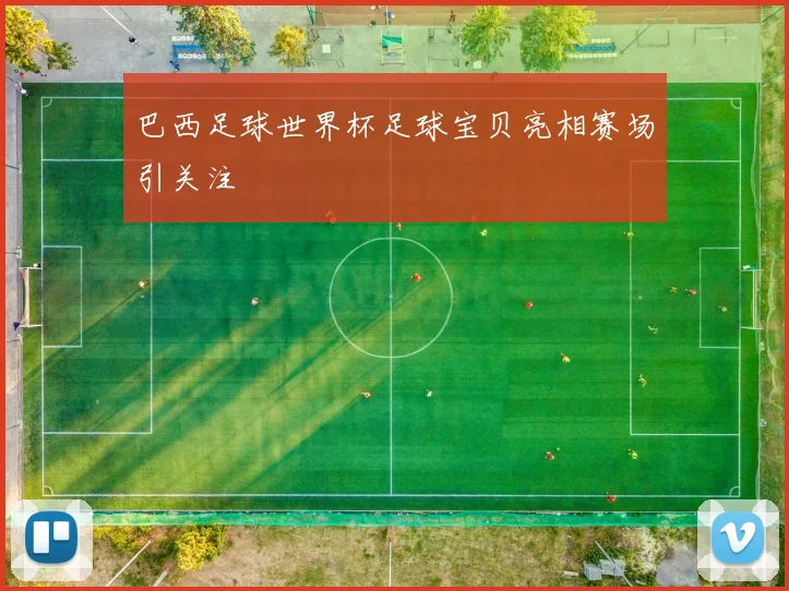 巴西足球世界杯足球宝贝亮相赛场引关注